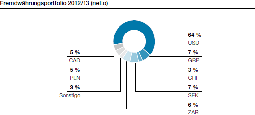 Fremdwährungsportfolio 2012/13 (netto) (Tortendiagramm)